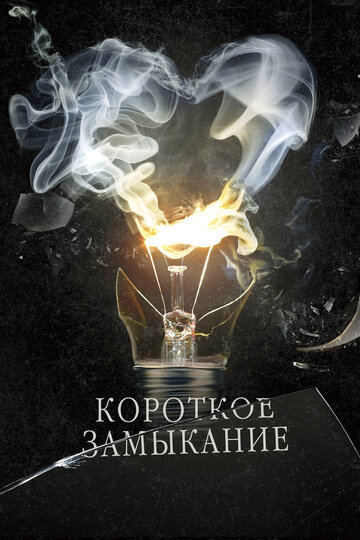 Короткое замыкание (2009)